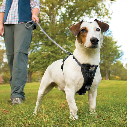 Kurgo Tru-Fit Smart Dog Walking Harness - Comfortable Fit - Adjustable Harness - Reflective Pet Wear - Quick Strap Release - Daily Walk Accessory - Includes Seat Belt Loop - Black - Medium