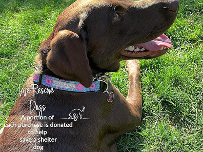 Lucky Love Dog - Adjustable Dog Collar with Easy Click Buckle for Small Dogs, Durable, & Comfortable for Male & Female Dogs, Pet Collar for Puppies & Adult Dogs - Clara, Small