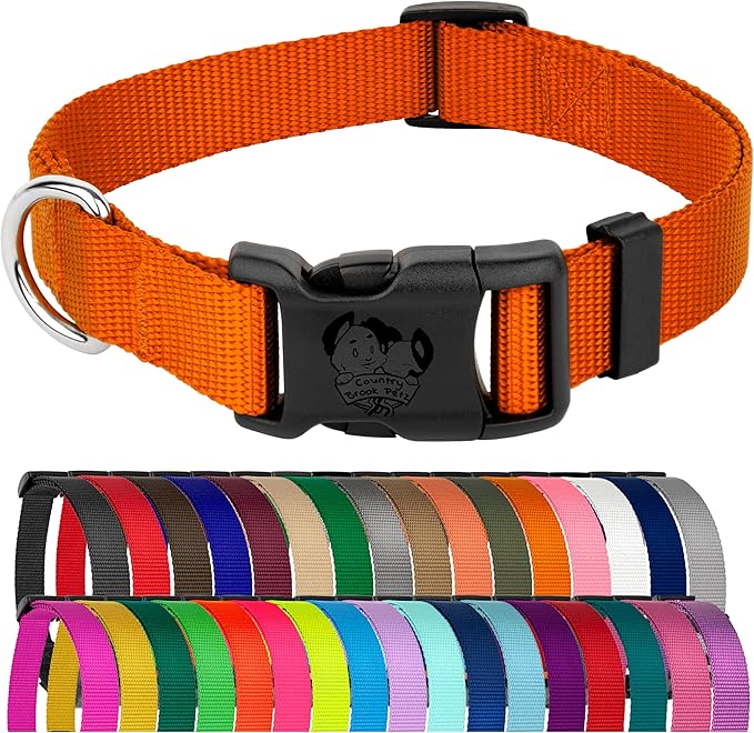 Country Brook Petz - Everyday Nylon Dog Collar for Large, Medium, and Small Dogs and Puppies - for Everyday Use in 10+ Warm Colors (Small, 3/4 Inch Wide, Orange)