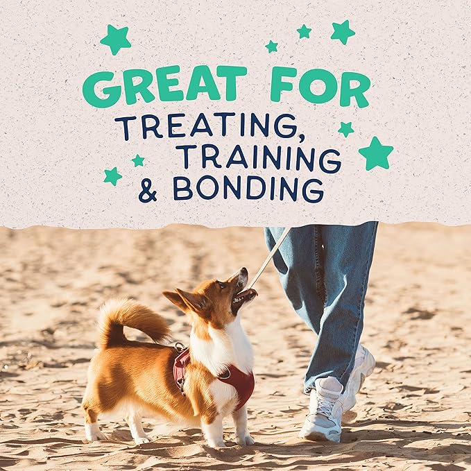 Natural Balance Limited Ingredient Rewards Crunchy Biscuits, Bite-Size Treats for Small-Breed Dogs, Made with Real Chicken, 8 Ounce (Pack of 2)