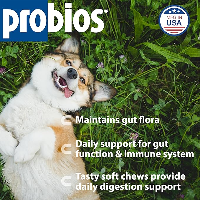 Probios for Dogs Soft Chews, Probiotics for Dogs, Daily Supplement for Gut Health, Digestion & Immune Support, Small Breeds, 4.23oz