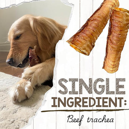Nature Gnaws Beef Trachea Chews for Dogs 6" (6 Count) - Long Lasting Natural Crunchy Dog Chew Bones - Rawhide Free
