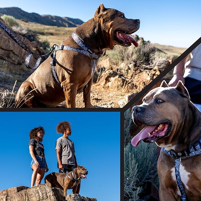 Wolfgang Heavy Duty Adjustable Dog Harness, Pull-Tested to Over 800 lbs for Walking & Training, WolfMountain Print, Large