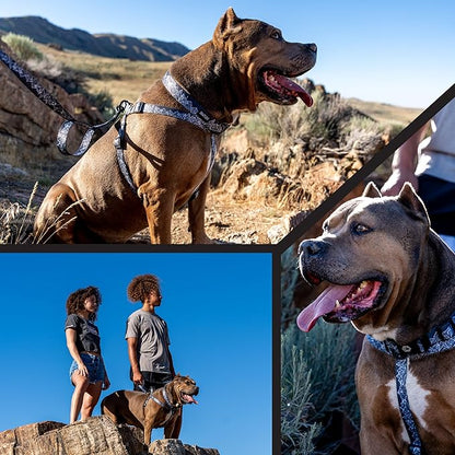 Wolfgang Heavy Duty Adjustable Dog Harness, Pull-Tested to Over 800 lbs for Walking & Training, WolfMountain Print, Small