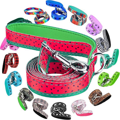 EcoBark Dog Leash - Soft & Reflective Comfort Leashes with Padded Handle - Safe, Strong, & Durable for Small, Medium or Large Dogs (Watermelon)