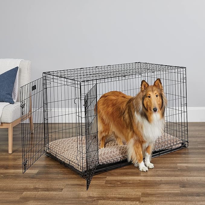MidWest Homes for Pets 48-Inch iCrate for Extra-Large Breeds, 90-110 lbs, Double Door Folding Dog Crate with Divider Panel, Leak-Proof Tray & Secure Latches, Portable, Durable & Easy to Assemble