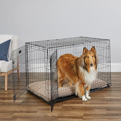 MidWest Homes for Pets 48-Inch iCrate for Extra-Large Breeds, 90-110 lbs, Double Door Folding Dog Crate with Divider Panel, Leak-Proof Tray & Secure Latches, Portable, Durable & Easy to Assemble