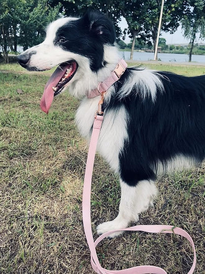 Dog Collar and Leash Set.Soft and Easy to Clean Vegan Leather with Rose Gold Metal Buckle for Small Medium Large Dogs (Pink, M(13.8"-19.7"))