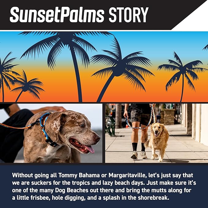 Wolfgang Heavy Duty Dog Leash, Pull-Tested for Walking & Training, SunsetPalms Print, Small