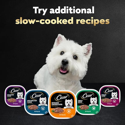 Cesar Filets in Gravy, Adult Wet Dog Food, Filet Mignon Flavor, Wet Food for Dogs, 3.5 oz Trays, 24 Count