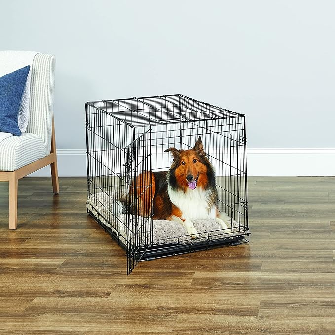 Midwest Homes for Pets 36-Inch New World Crate for Medium-Large Breeds, 41-70 lbs, Single Door Folding Dog Crate, Leak-Proof Tray & Secure Latch, Portable, Durable & Easy to Assemble