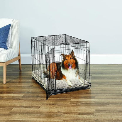 Midwest Homes for Pets 36-Inch New World Crate for Medium-Large Breeds, 41-70 lbs, Single Door Folding Dog Crate, Leak-Proof Tray & Secure Latch, Portable, Durable & Easy to Assemble