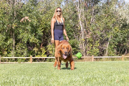 Chuckit! Erratic Dog Ball Interactive Toy For Dogs, Unpredictable Bounces, Small 2" For Small Breeds and Puppies, Pack of 2