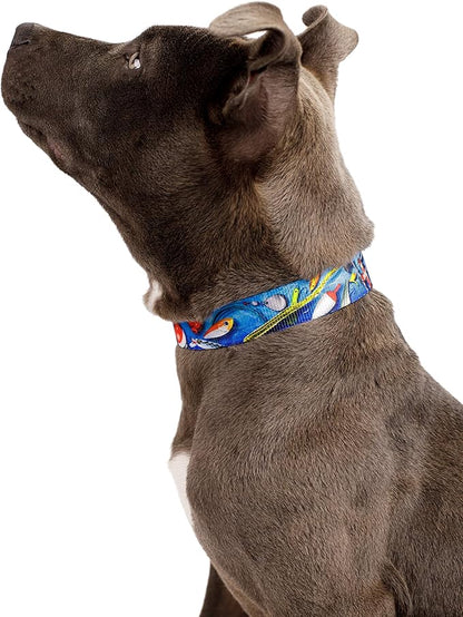 Country Brook Petz - Gone Fishin' Everyday Dog Collar and Leash - Sports and Athletics Collection Featuring Spirited Designs (1/2 Inch, Extra Small)