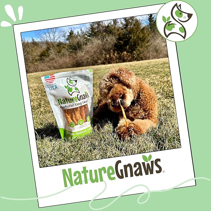 Nature Gnaws USA Turkey Tendons for Dogs (8oz) - Delicious Grain Free Reward Snack for Small, Medium & Large Breeds - Premium Natural Dog Chew Treats