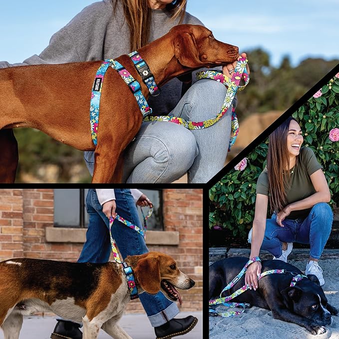 Wolfgang Heavy Duty Martingale Dog Collar with Quick Release Nylon Buckle for Walking & Training, LazyDaisy Print, Medium