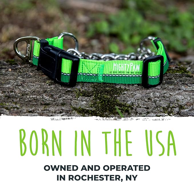 Mighty Paw Martingale Dog Collar - Gentle Correction with No More Pulling - Strong 100% Stainless Steel Chain - Weatherproof Won't Rust - Built to Last Premium Quality Nylon - Durable Plastic Buckle