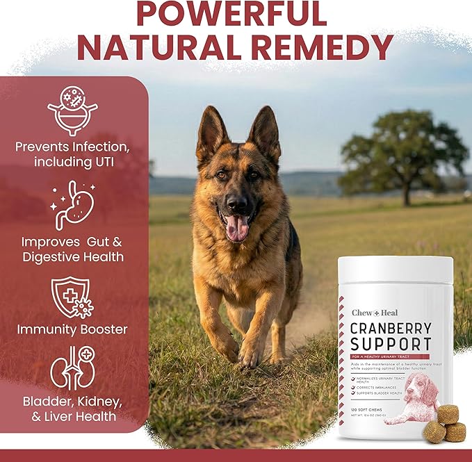 Dog UTI Treatment Cranberry Supplement for Dogs, 240 Soft Chews - Natural Urinary Tract Infection Support and Healthy Bladder Control – Made with Echinacea and Vitamin C (2 Packs of 120)