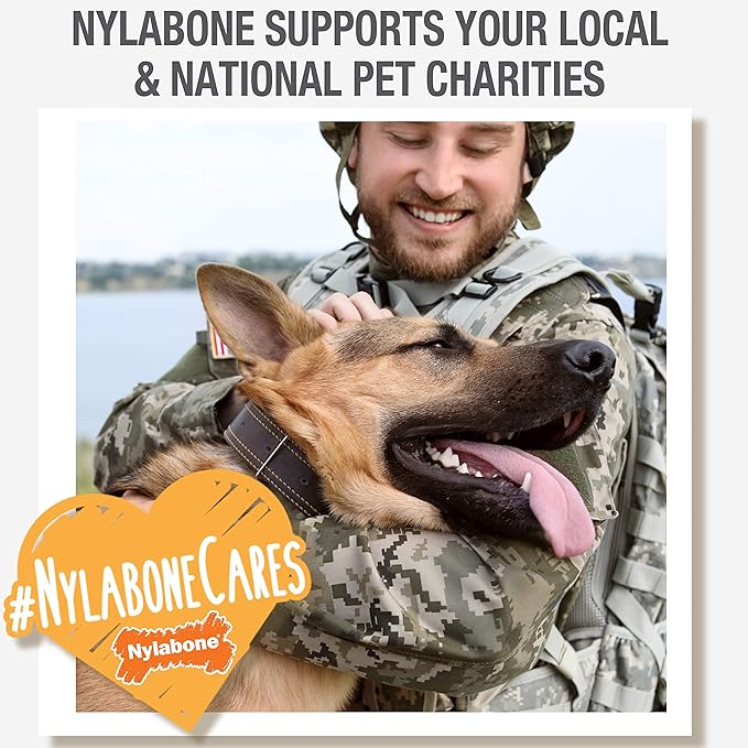 Nylabone Nubz Wild Natural Dog Chew Treats for Small Dogs, Long Lasting Dog Chew Bones Made in USA, Bison Flavor, for Dogs Up to 25 lbs. (12 Count)