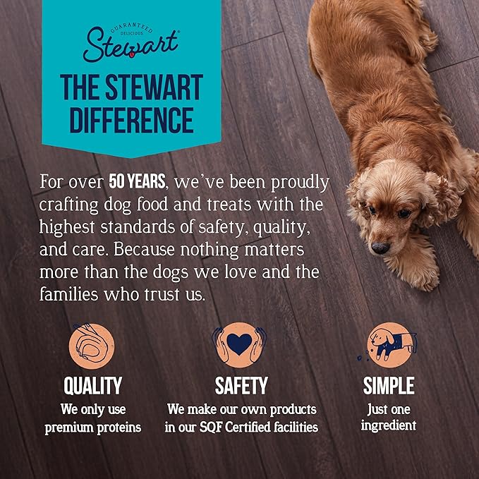 Stewart 100% Wild Salmon Dog Treats, 9.5 oz Tub, ~190 Pieces, Freeze Dried Raw, Ingredient, 65% Protein Training Treats or Meal Topper, Grain Free, Gluten Free (Pack of 2)