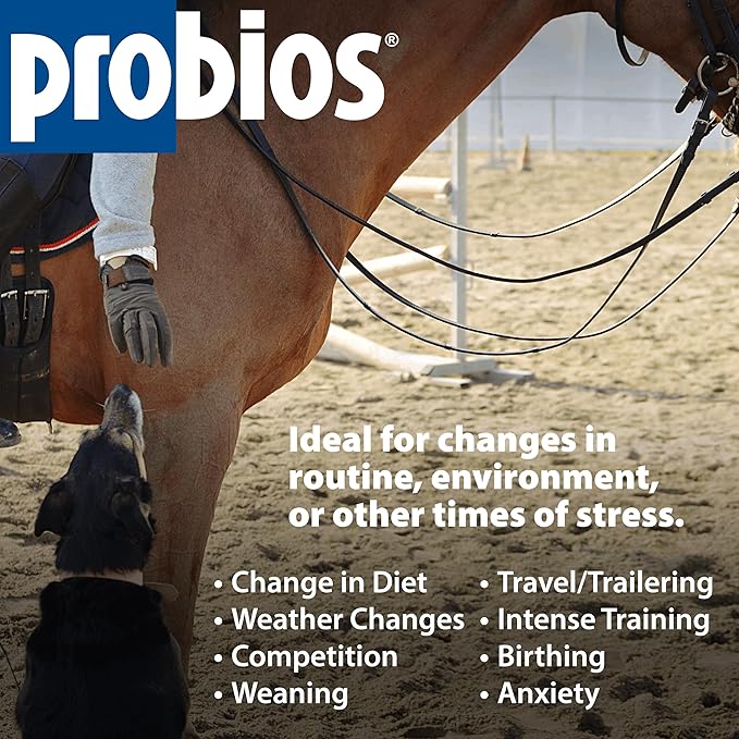 Probios Digestive Support Probiotic for All Species, Probiotics for Gut Health, Dispersible Powder, 5 lbs