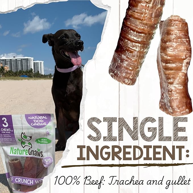 Nature Gnaws Beef Trachea Crunch Wraps for Dogs (3 Count) - Long Lasting Natural Beef Jerky Dog Chew Bones - Rawhide Free