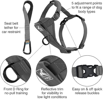 Kurgo Tru-Fit Smart Dog Walking Harness - Comfortable Fit - Adjustable Harness - Reflective Pet Wear - Quick Strap Release - Daily Walk Accessory - Includes Seat Belt Loop - Grey - X-Small