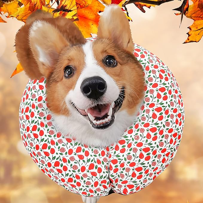 Protective Inflatable Collar for Dogs and Cats - Soft Pet Recovery Collar Does Not Block Vision, Prevents Pets from Touching Stitches, Wounds and Rashes (Floral - 1, Neck 9" - 12")