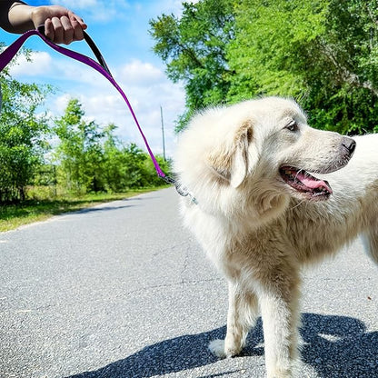 Joytale Dog Leash Heavy Duty for Large Dogs that Pull, Double Handle for Traffic Control, Double-Sided Reflective Leashes for Large Medium Dogs Night Safety, 5FT, Purple