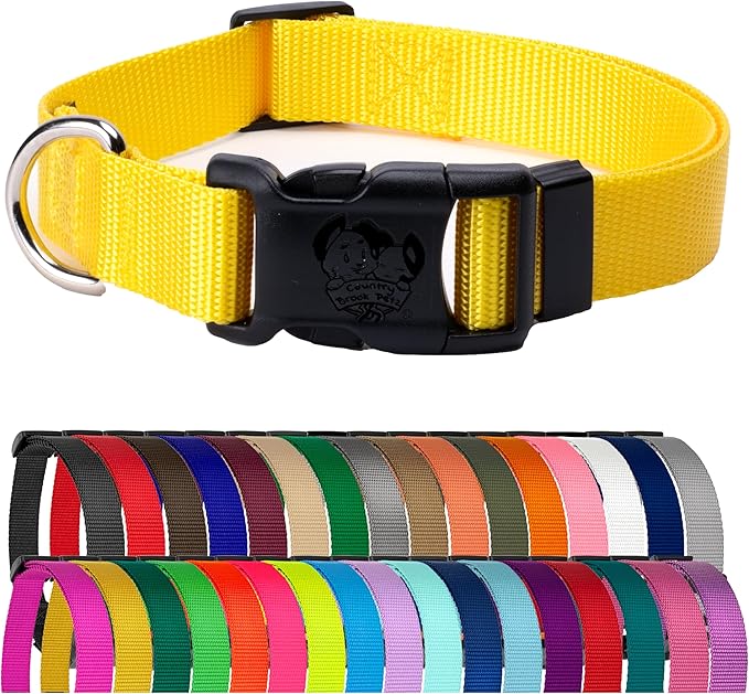 Country Brook Petz - Everyday Nylon Dog Collar for Large, Medium, and Small Dogs and Puppies - for Everyday Use in 15+ Cool Colors (Medium, 3/4 Inch Wide, Yellow)