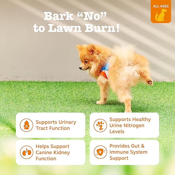 Zesty Paws Stay Green Bites for Dogs - Grass Burn Soft Chews for Lawn Spots Caused by Dog Urine - with Cranberry for Urinary Tract & Bladder - Beef - 90 Count