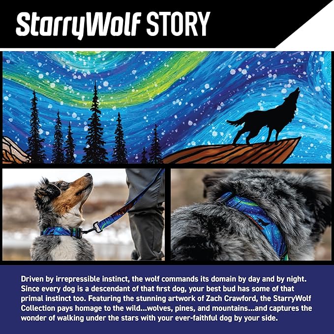 Wolfgang Heavy Duty Martingale Dog Collar with Quick Release Nylon Buckle for Walking & Training, StarryWolf Print, Medium