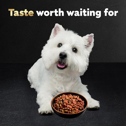 Cesar Small Breed Dry Dog Food for Small Dogs, Filet Mignon Flavor and Spring Vegetables Garnish, 2.7 lb Bag