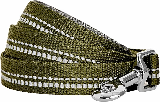 Blueberry Pet 3M Reflective Pastel Color Dog Leash with Soft & Comfortable Handle, 4 ft x 1", Olive Green, Large, Leashes for Dogs