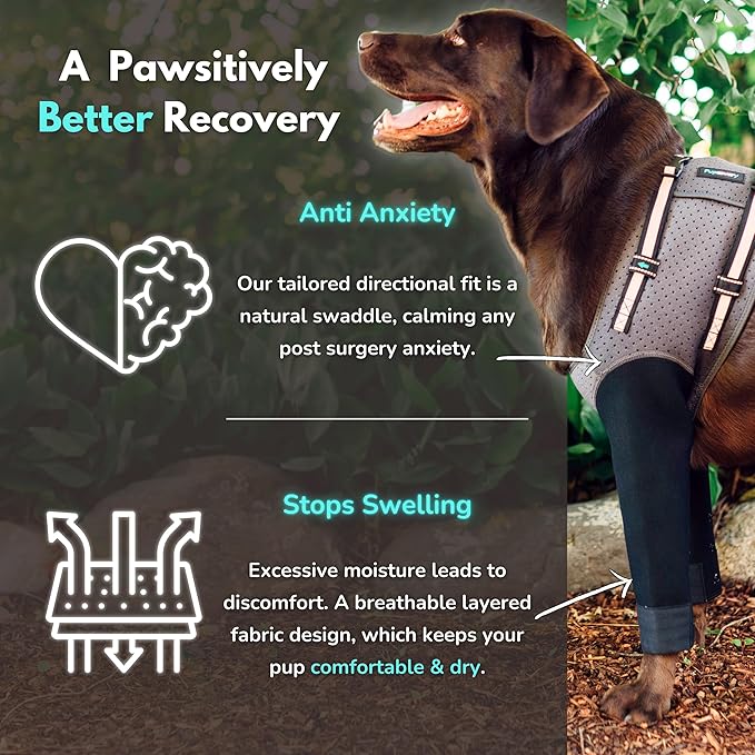 Dog Cone Alternative - Leg Sleeve to Stop Licking, Hot Spot Recovery, Wound & Elbow Protector, Hygroma Treatment, Reduce Stress & Anxiety, Waterproof & Breathable, Post-Surgery Suit (X-Small)