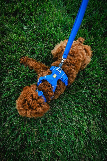 Ruffwear, Front Range Dog Collar, Adjustable Tubelok Webbing, Lightweight, Side Release Buckle, Aluminum V-Ring, Durable for Everyday Use, Blue Pool, 14"-20"