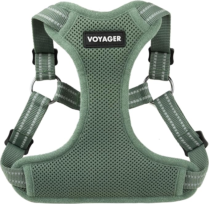 Best Pet Supplies Voyager Adjustable Step-in Flex Breathable Mesh Dog Harness for Small Medium Large Dogs Moss Green, S
