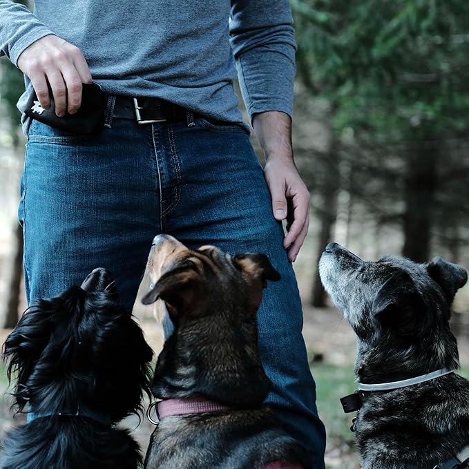 Pocket Sized Dog Treat Pouch - Treat Pouches for Pet Training - Medium Dog Treat Pouch with Magnetic Closure - Dog Walking Treat Bag for Dog Training - Black with Gray Interior