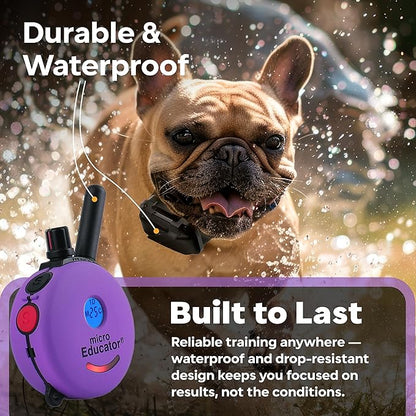 Educator ME-300 Micro E Collar for Dog Training with Remote - 1/3 Mile Range, Waterproof, 100 Blunt Stimulation Levels, Tone or Vibration Mode, Night Tracking Light for Small, Medium & Large Dogs