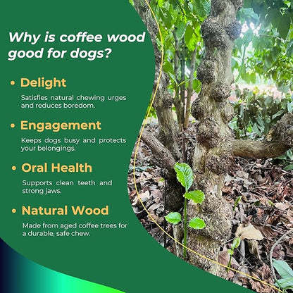 Set of 2 Coffee Wood Dog Chew Stick Toy, Natural and Real Wooden Bone Sticks, Safe Dental Cleaning Chews, Pet Health, Teeth Cleaning and Relieve Stress (Set 2 for Medium Dog)