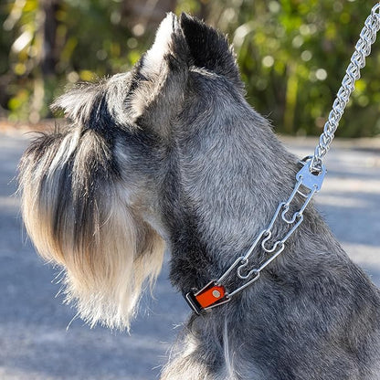 Herm Sprenger Chrome Plated Steel Dog Collar with Quick Release ClicLock Buckle and Biothane Insert Training Collar for Dogs Made in Germany (Hunter Orange, 22in x 3.0mm(Neck Size up to 18-19in))