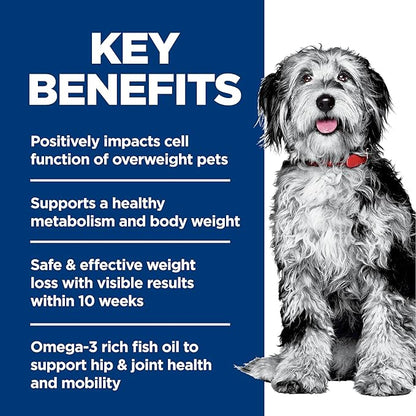 Hill's Science Diet Adult Perfect Weight & Joint Support Dry Dog Food, Chicken, 12 lb. Bag