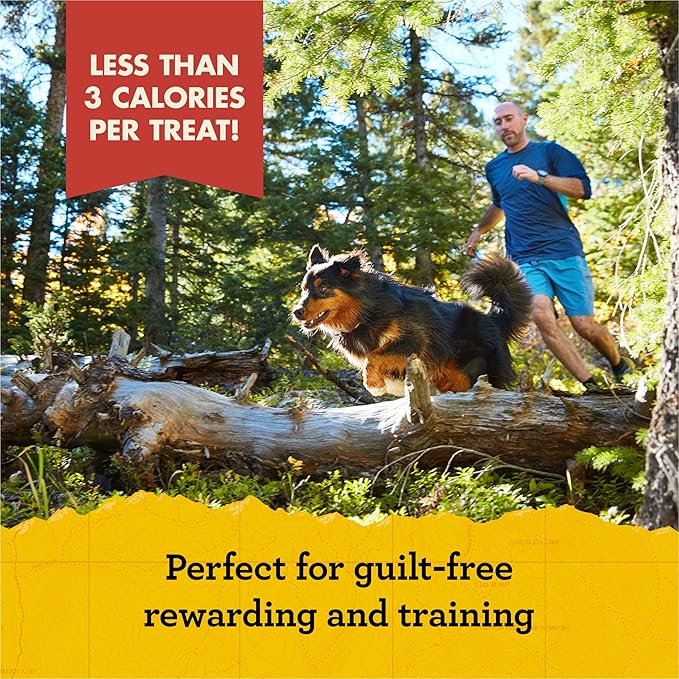 Zuke's Mini Naturals Dog Training Treats, Soft Mini Dog Treats with Vitamins & Minerals, Made for All Breed Sizes Chicken, 16 Ounce (Pack of 2)