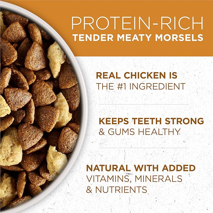 DentaLife Purina Bundle Pack Adult Dry Dog Food and Treats, ONE Chicken and Rice Formula ActivFresh