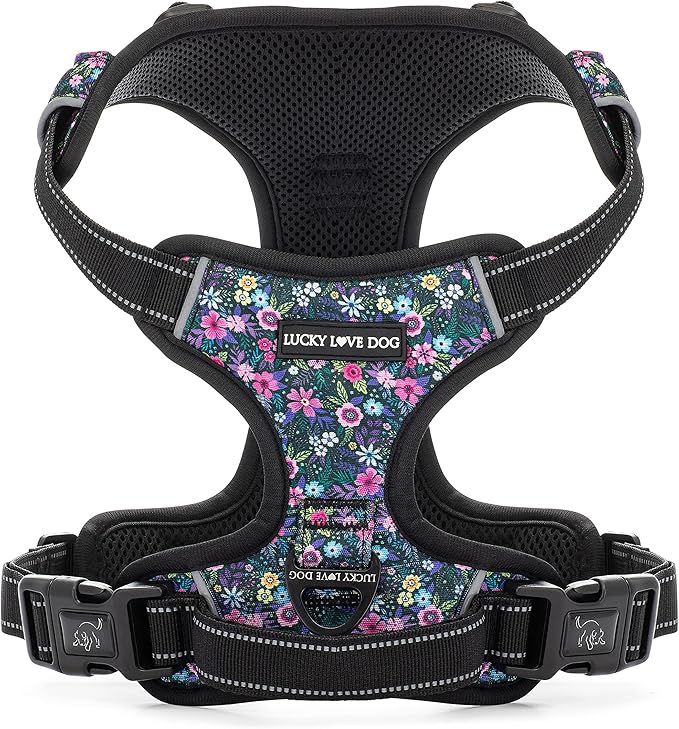 Lucky Love Dog No Pull Dog Harness, Adjustable and Easy to Walk, Cute Patterned Harness for Small Male & Female Dogs - Primrose, XX-Small