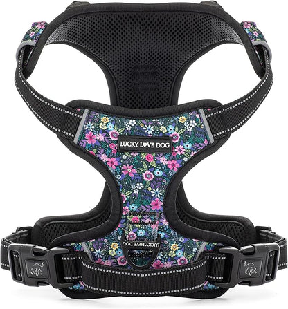 Lucky Love Dog No Pull Dog Harness, Adjustable and Easy to Walk, Cute Patterned Harness for Small Male & Female Dogs - Primrose, XX-Small