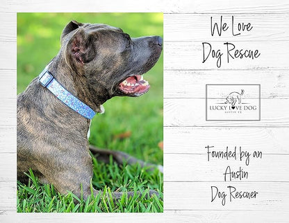 Lucky Love Dog - Adjustable Dog Collar with Easy Click Buckle for Large Ones, Durable, & Comfortable for Male & Female Dogs, Pet Collar for Puppies & Adult Dogs - Winterblue, Large