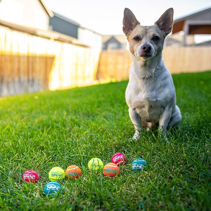 Outward Hound Squeaker Ballz – Squeaky Tiny Tennis Balls for Small Dogs Under 15 lbs, Fetch & Training, X-Small (1.5"), 8-Pack