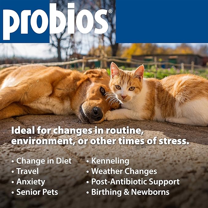 Probios Chewable Tablets for Dogs, Daily Probiotic Supplment for Gut Health, Digestion & Immune Support, 45 Count