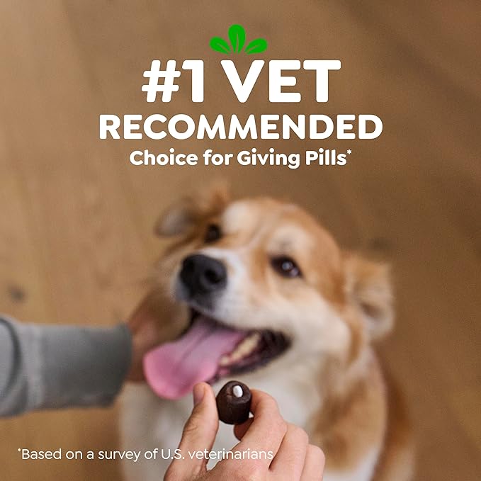 Greenies Pill Pockets for Dogs Large Size, Dog Treat Pouch for Capsule Medication, Cheese Flavor, 15.8 oz. Pouch